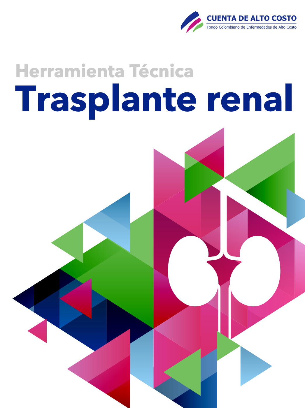 En este momento estás viendo Herramienta técnica trasplante renal