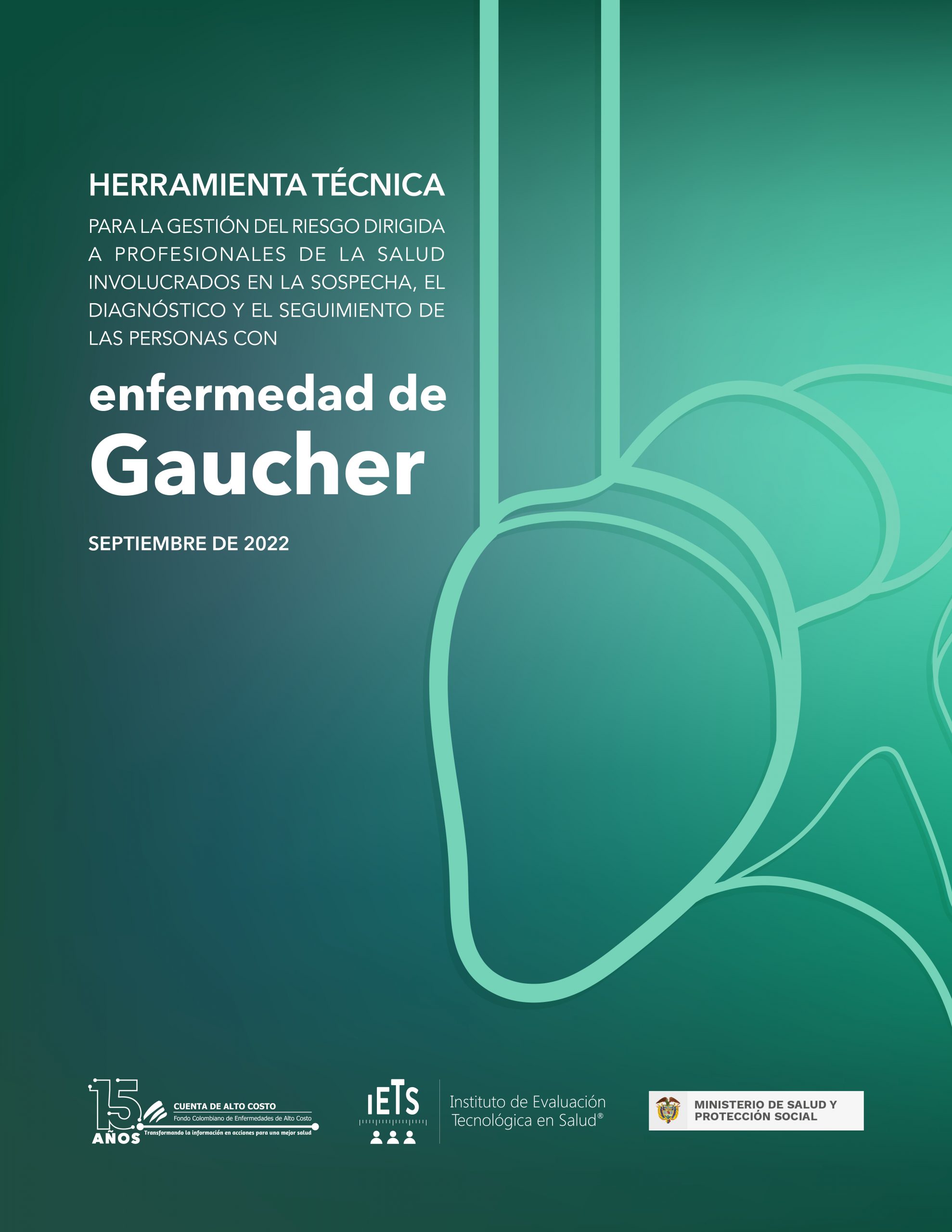 En este momento estás viendo Herramienta técnica enfermedad de Gaucher