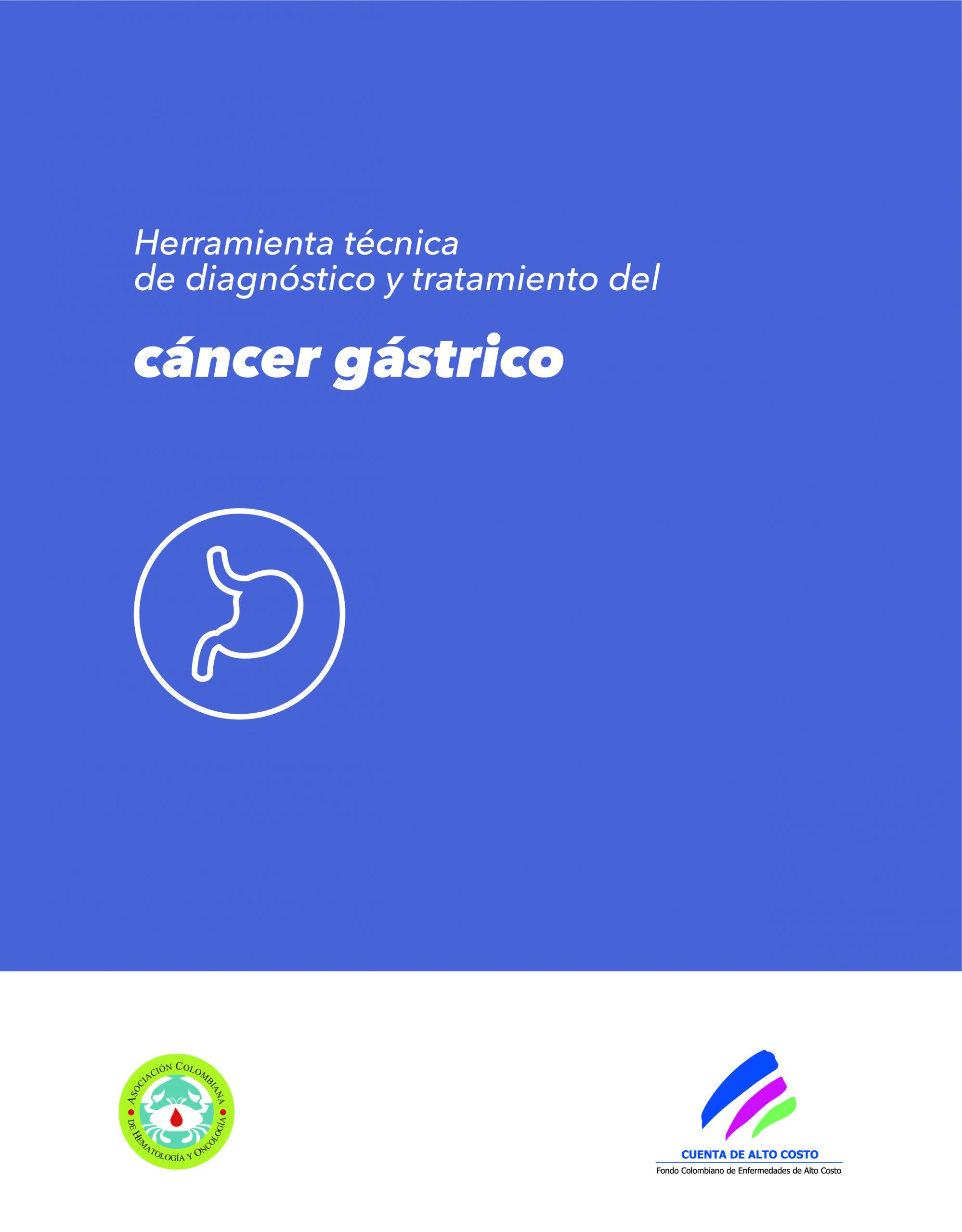 En este momento estás viendo Herramienta técnica cáncer gástrico