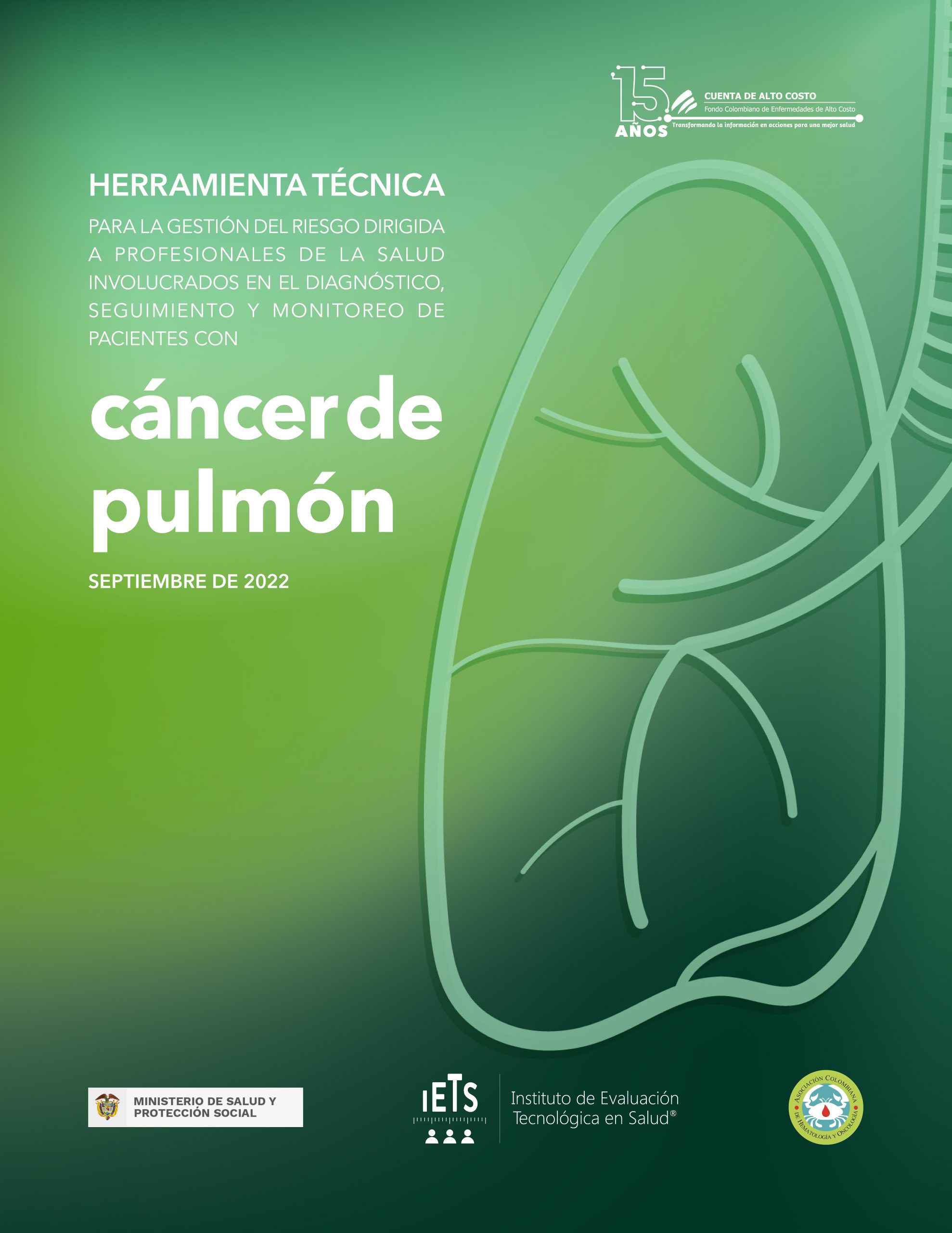 En este momento estás viendo Herramienta técnica cáncer de pulmón