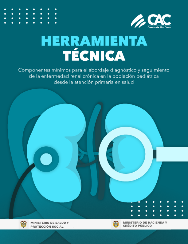 En este momento estás viendo Herramienta tecnica: Componentes mínimos para el arbordaje diagnóstico y seguimiento de la enfermedad renal crónica en la población pediátrica desde la atención primaria en salud