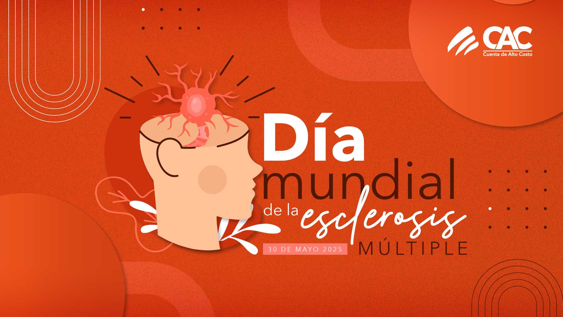 Lee más sobre el artículo Día mundial de la esclerosis múltiple 2025