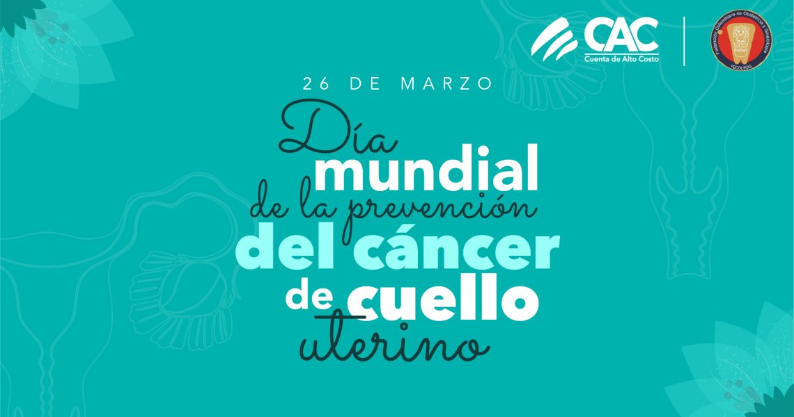 Cervix_miniatura